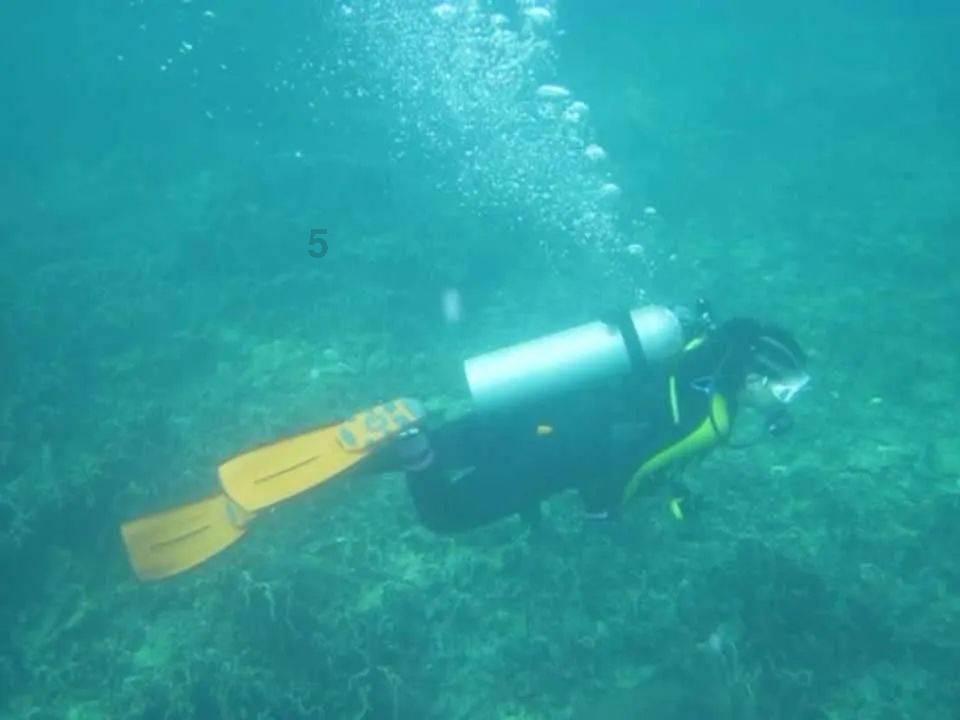 人类：一败涂地